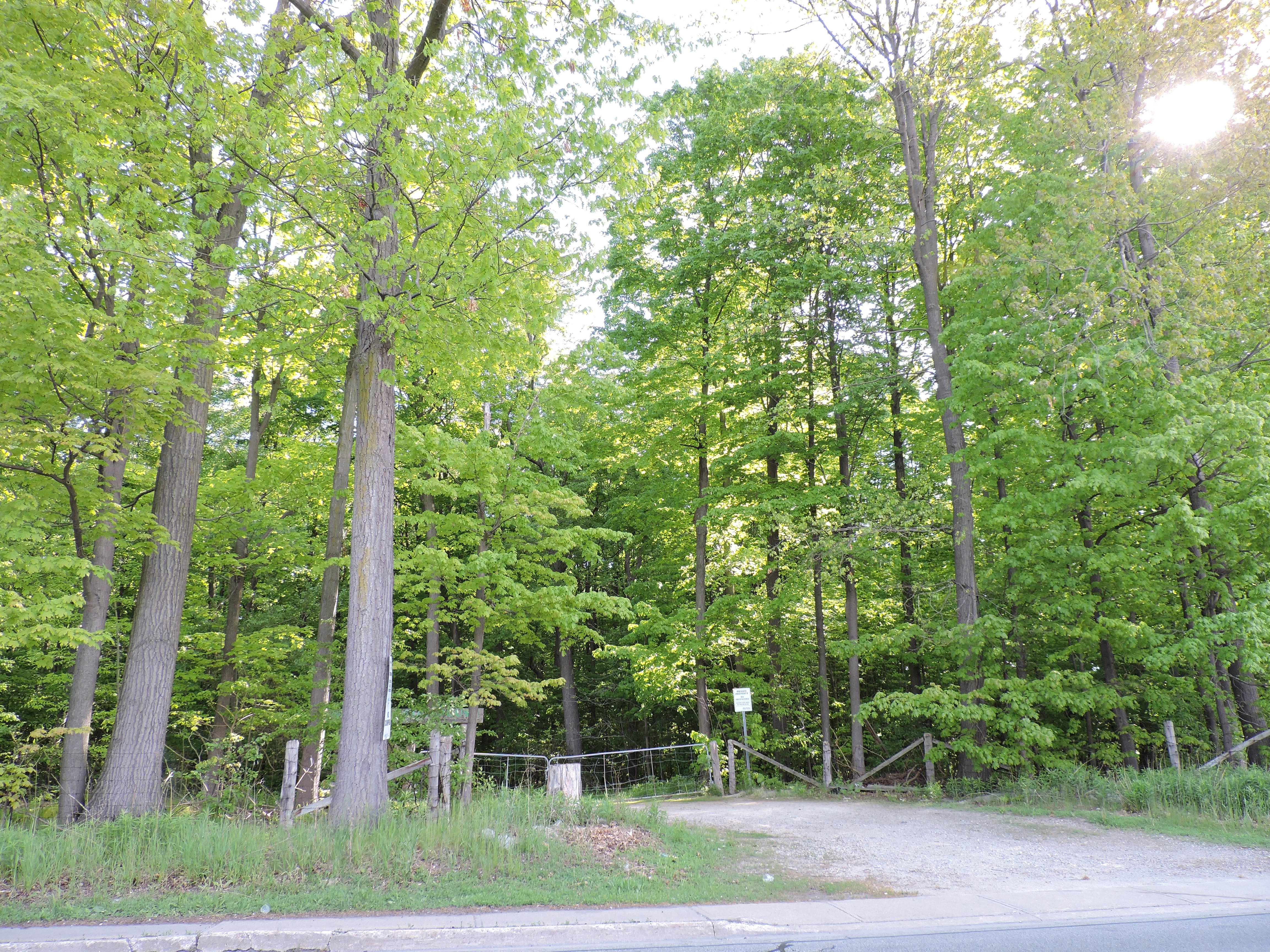 McLaughlin Road widening up for debate