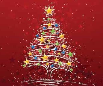 Christmas Tree Collection in the Region of Peel