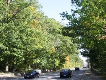 A McLaughlin Road tree-hugger completes the circle