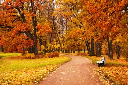 This Way to Spookytown: Join the City for a Variety of FaBOOlous Halloween Events and Activities