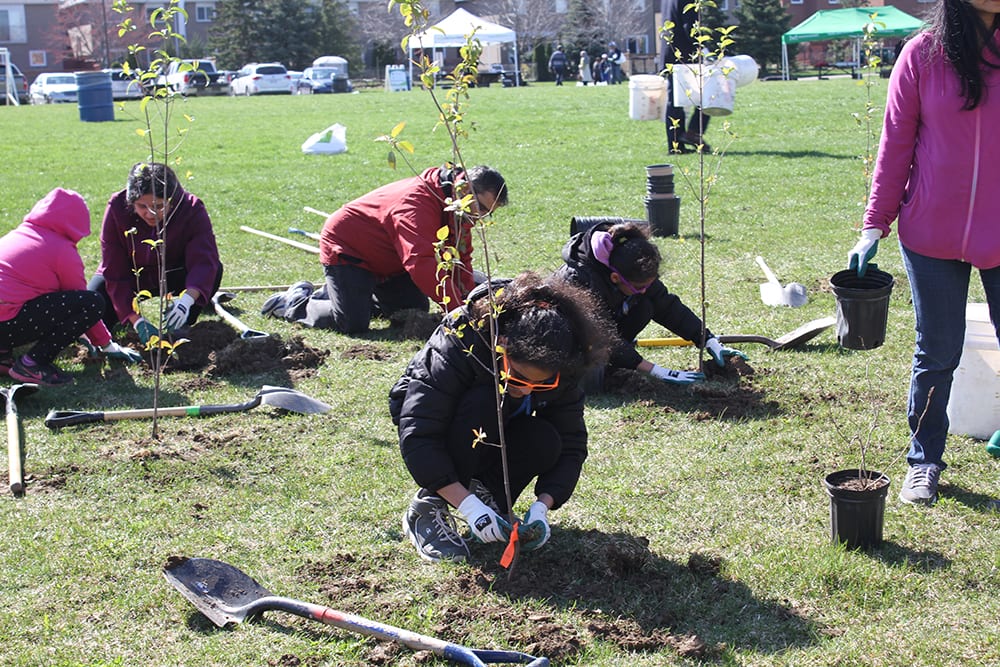 Put on Your Rubber Boots and Get Ready to Plant Some Trees on Earth Day