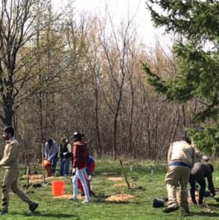 Victory Park Tree Planting Update