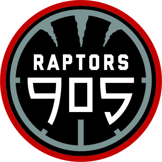 Camp 905 – 1-day basketball camp in Malton
