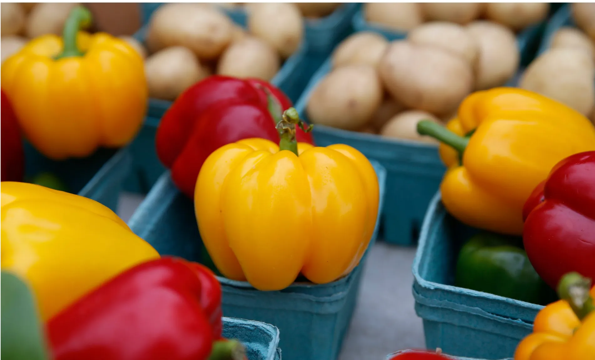 Are you looking for fresh produce? Visit a farmers market in Mississauga
